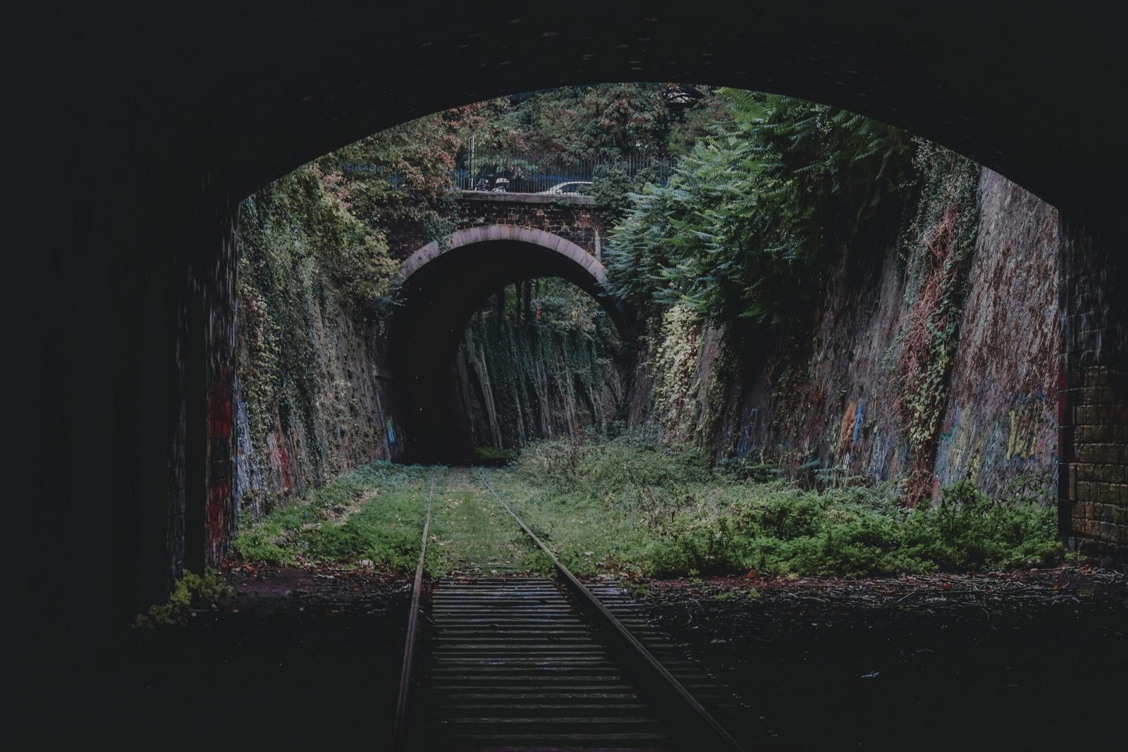 train rail track near trees